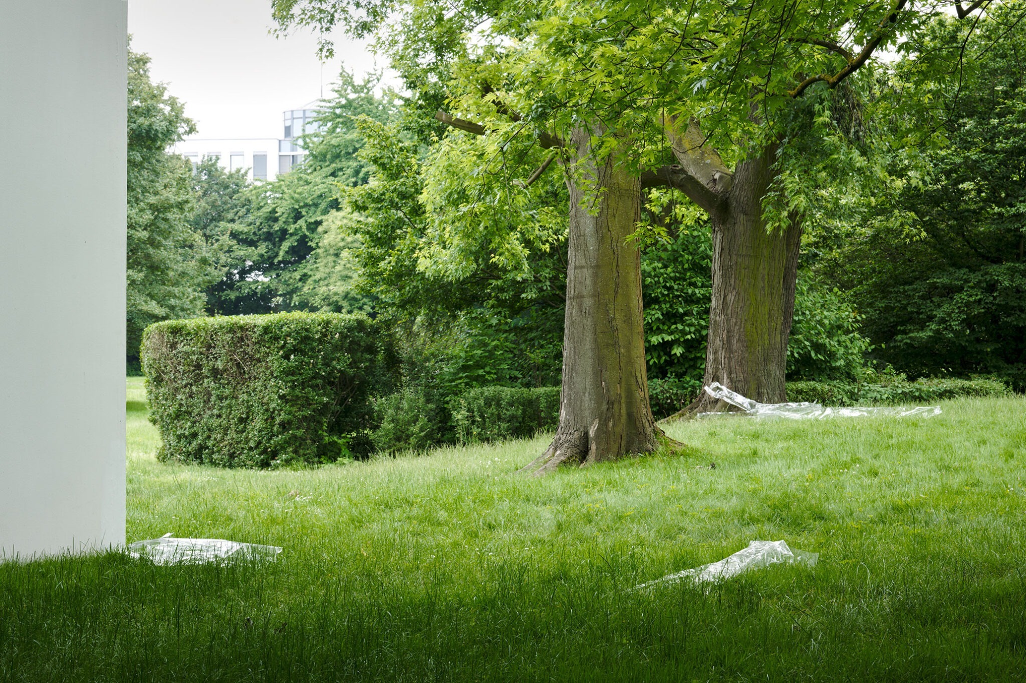 Fotograf: Mareike Tocha · Courtesy of the artist; Trautwein Herleth, Berlin; Bridget Donahue, New York; Croy Nielsen, Wien; Galerie Fons Welters, Amsterdam; Hannah Hoffman, Los Angeles · Gefördert von der Stiftung Skulpturenpark Köln · © Stiftung Skulpturenpark Köln, 2024