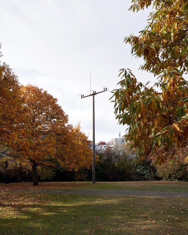 Fotograf: Veit Landwehr · Stiftung Skulpturenpark Köln · © Stiftung Skulpturenpark Köln, 2024