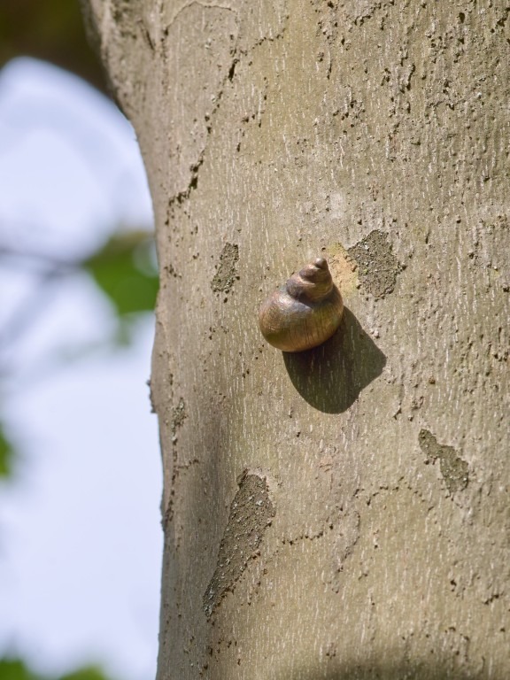 Fotograf: Simon Vogel · Stiftung Skulpturenpark Köln · © Stiftung Skulpturenpark Köln, 2024