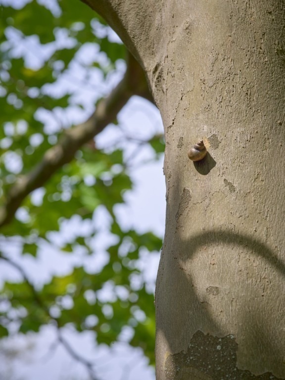 Fotograf: Simon Vogel · Stiftung Skulpturenpark Köln · © Stiftung Skulpturenpark Köln, 2024
