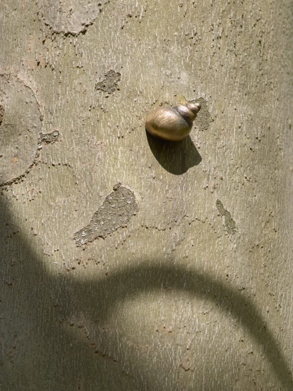 Fotograf: Simon Vogel · Stiftung Skulpturenpark Köln · © Stiftung Skulpturenpark Köln, 2024