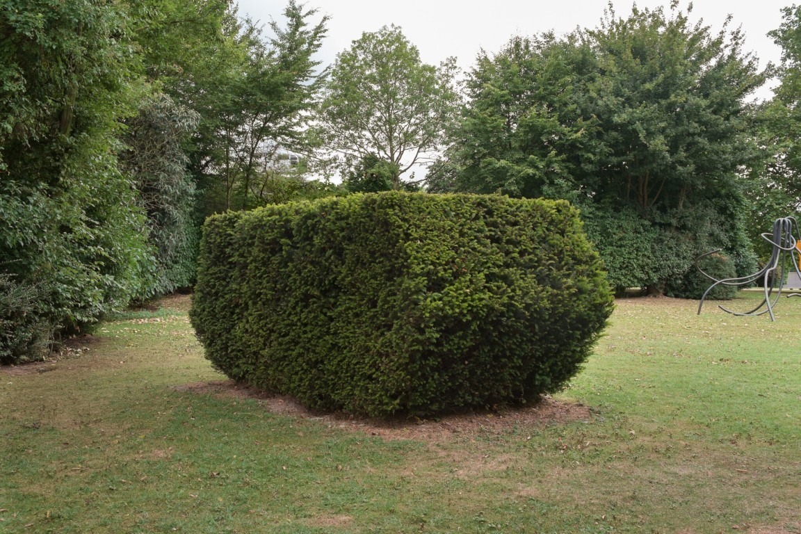 Fotograf: Axel Schneider · Courtesy of the artist; Galerie Neu, Berlin · Gefördert von der Stiftung Skulpturenpark Köln · © Stiftung Skulpturenpark Köln, 2024