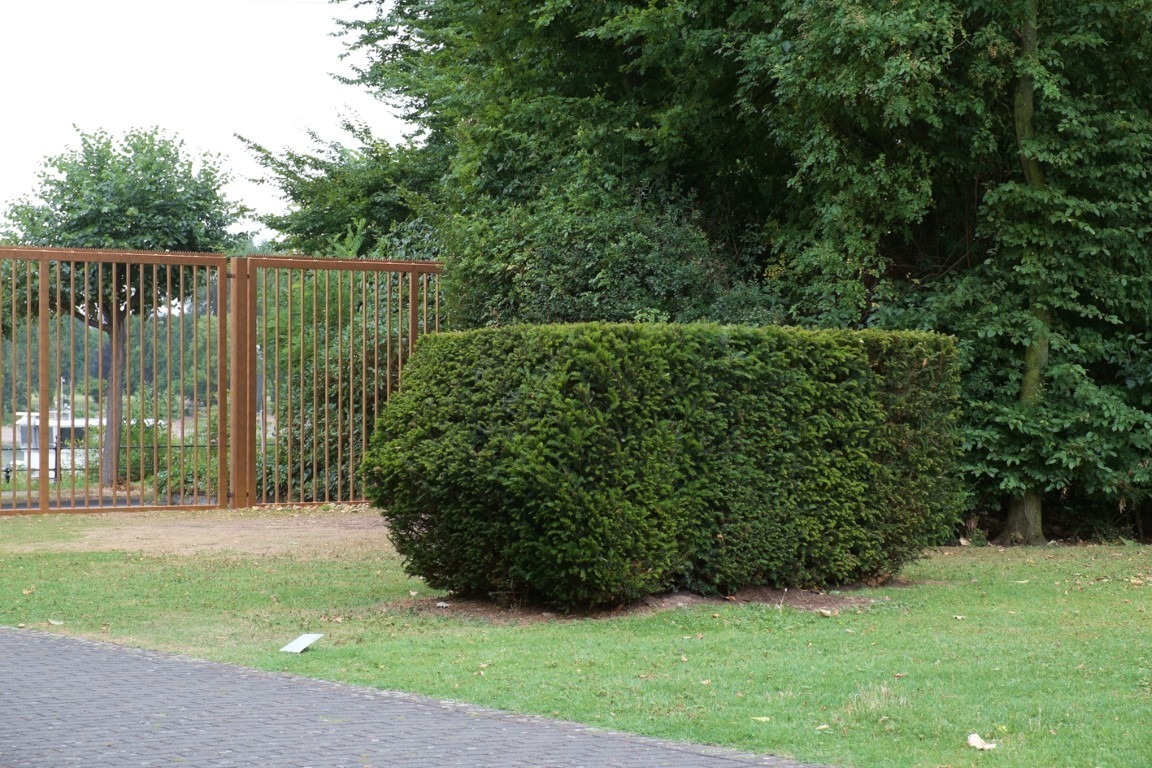 Fotograf: Axel Schneider · Courtesy of the artist; Galerie Neu, Berlin · Gefördert von der Stiftung Skulpturenpark Köln · © Stiftung Skulpturenpark Köln, 2024