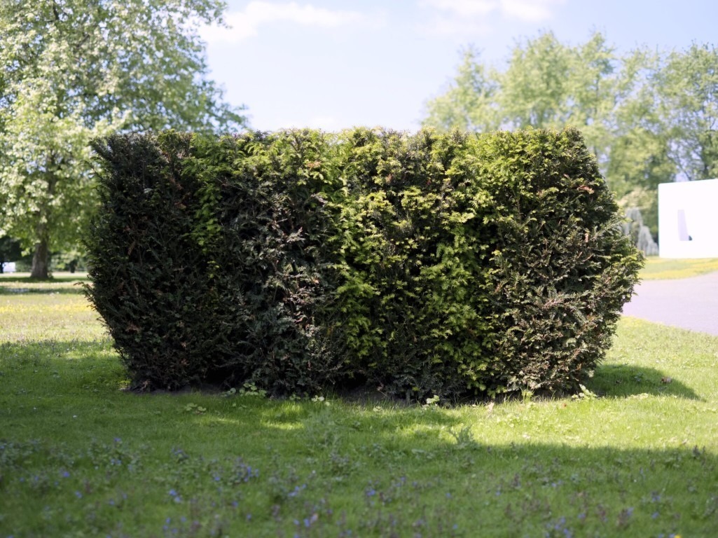 Fotograf: Veit Landwehr · Courtesy of the artist; Galerie Neu, Berlin · Gefördert von der Stiftung Skulpturenpark Köln · © Stiftung Skulpturenpark Köln, 2024