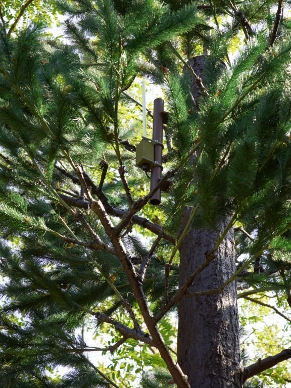 Fotograf: Simon Vogel · Stiftung Skulpturenpark Köln · © Stiftung Skulpturenpark Köln, 2024