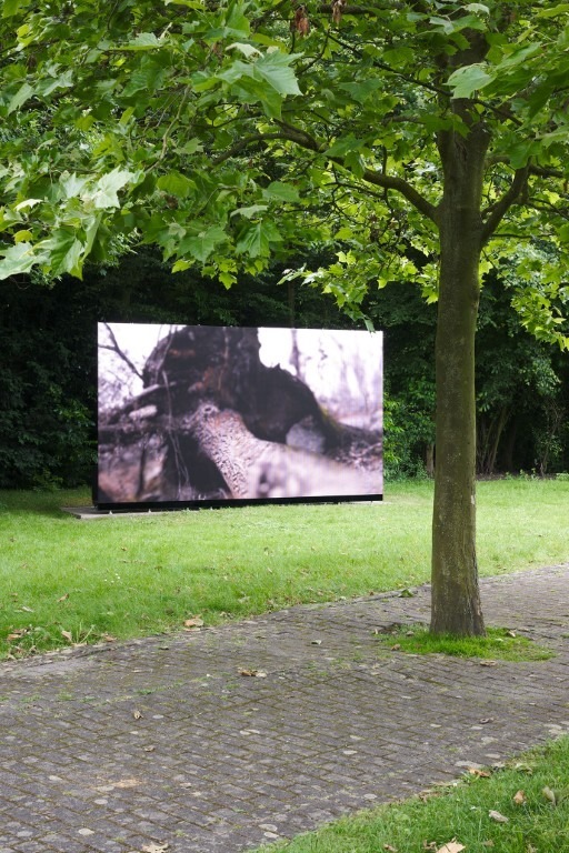 Fotograf: Mareike Tocha · Courtesy of the artist; Clages, Köln · Gefördert durch das Ministerium für Kultur und Wissenschaft des Landes Nordrhein-Westfalen, die Provinzial Versicherung AG und von der Stiftung Skulpturenpark Köln · © VG Bild-Kunst, Bonn, 2024, Stiftung Skulpturenpark Köln, 2024