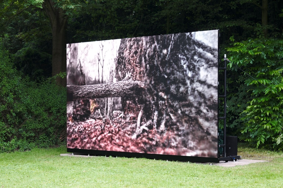 Fotograf: Mareike Tocha · Courtesy of the artist; Clages, Köln · Gefördert durch das Ministerium für Kultur und Wissenschaft des Landes Nordrhein-Westfalen, die Provinzial Versicherung AG und von der Stiftung Skulpturenpark Köln · © VG Bild-Kunst, Bonn, 2024, Stiftung Skulpturenpark Köln, 2024