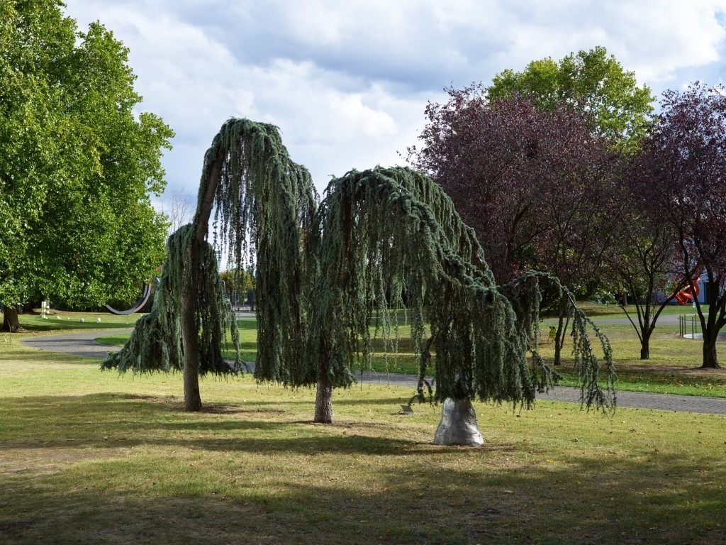 Fotograf: Axel Schneider · Leihgabe Michael und Eleonore Stoffel Stiftung · © VG Bild-Kunst, Bonn, 2024, Stiftung Skulpturenpark Köln, 2024