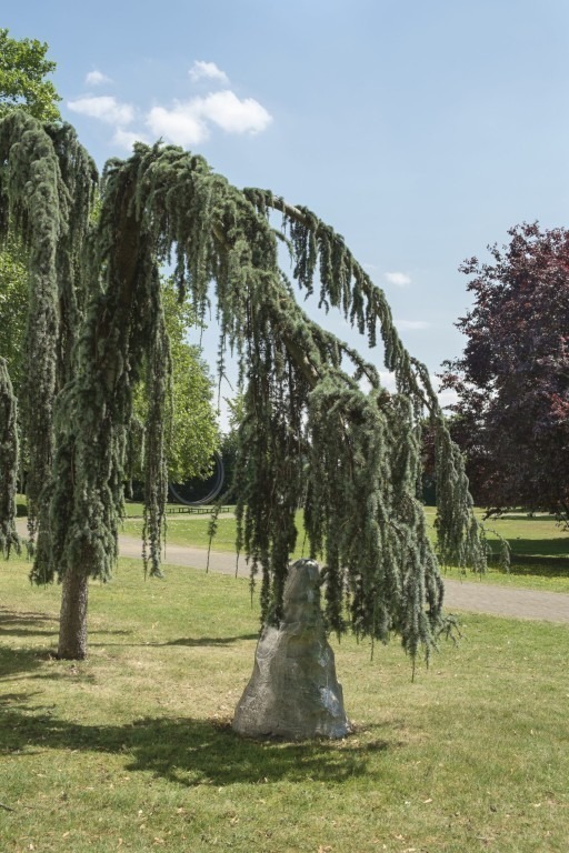 Fotograf: Veit Landwehr · Leihgabe Michael und Eleonore Stoffel Stiftung · © VG Bild-Kunst, Bonn, 2024, Stiftung Skulpturenpark Köln, 2024