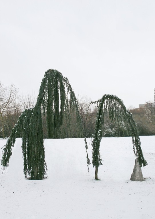 Fotograf: Fotostudio Schaub · Leihgabe Michael und Eleonore Stoffel Stiftung · © VG Bild-Kunst, Bonn, 2024, Stiftung Skulpturenpark Köln, 2024