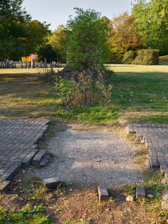 Fotograf: Stiftung · Courtesy of Studio Lois Weinberger · Gefördert von der Stiftung Skulpturenpark Köln · © Stiftung Skulpturenpark Köln, 2024