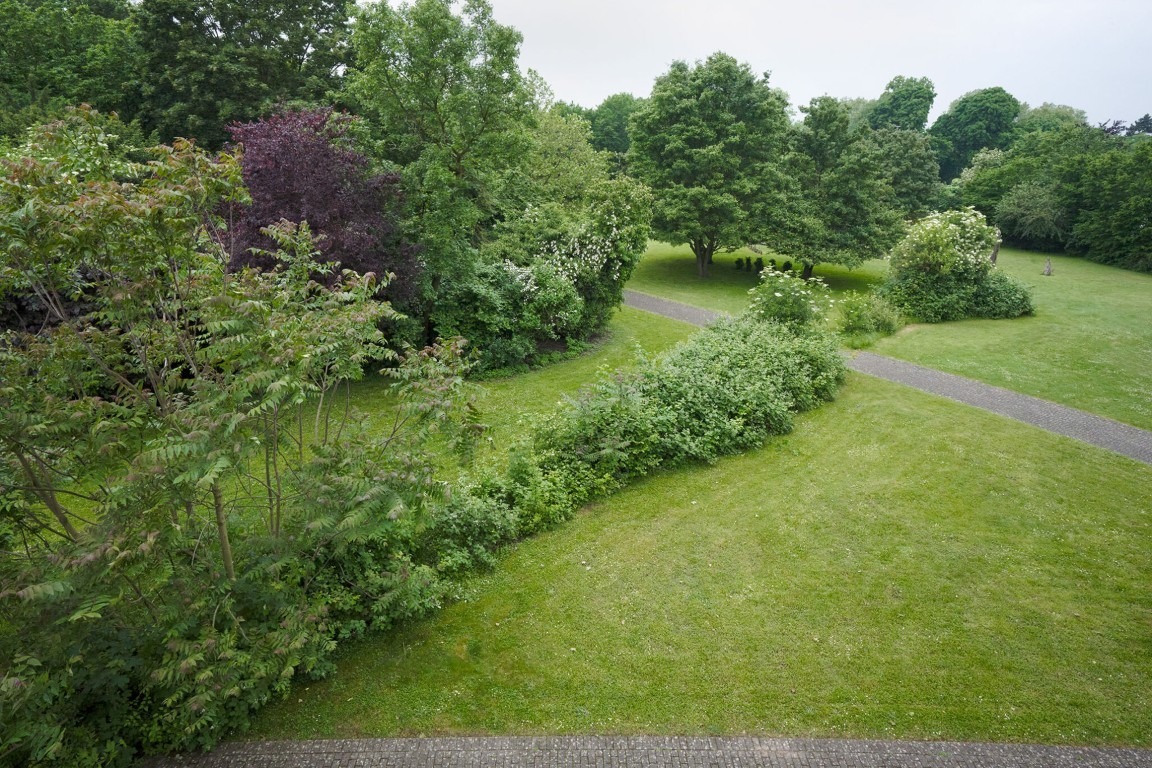 Fotograf: Mareike Tocha · Courtesy of Studio Lois Weinberger · Gefördert von der Stiftung Skulpturenpark Köln · © Stiftung Skulpturenpark Köln, 2024